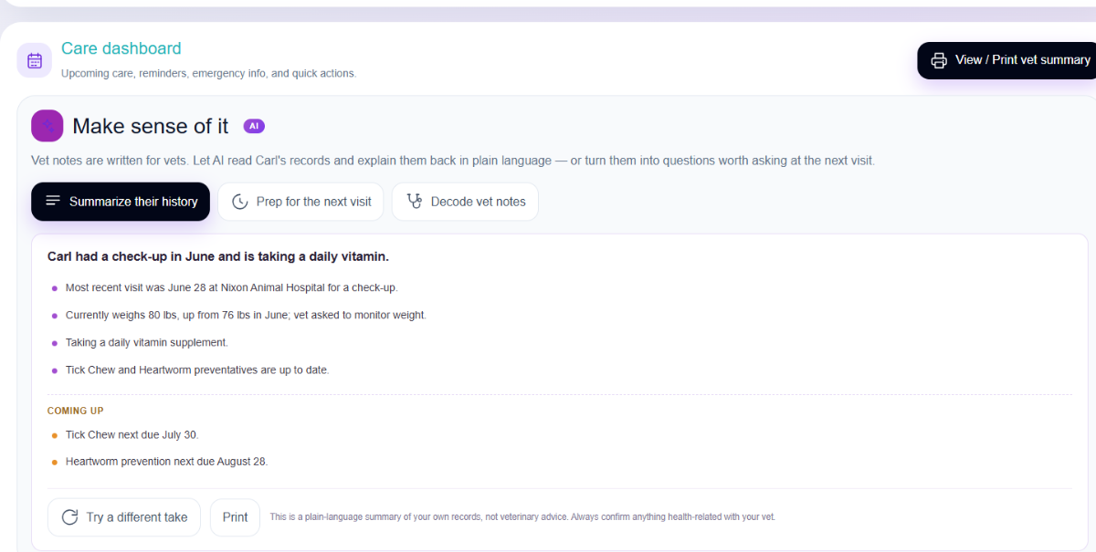 AI care summary explaining a pet's vet records in plain language