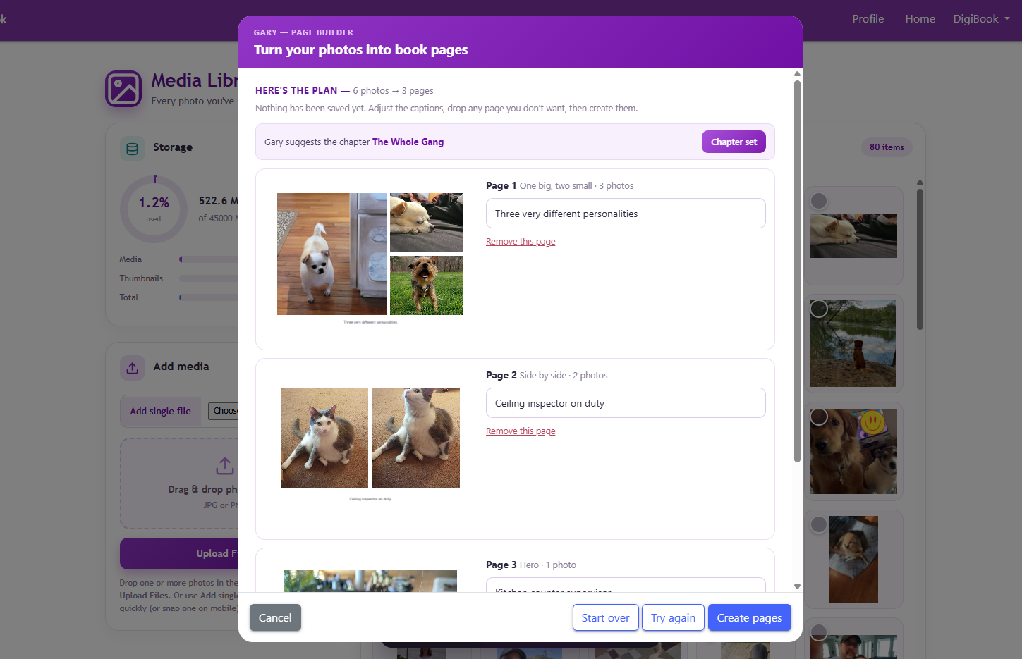 Gary's proposed pages with editable captions